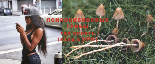 ECSTASY Абинск