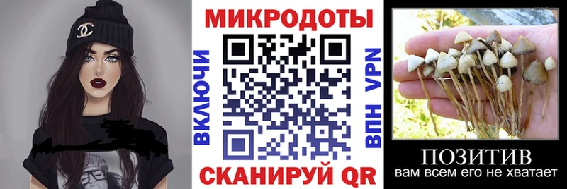 Псилоцибиновые грибы Psilocybe  где купить наркотик  omg зеркало  Североморск 